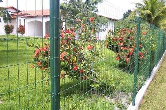 Jarditor