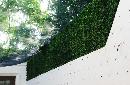 thum - images/uploads/cercado/3493-follaje-artificial-2.jpg